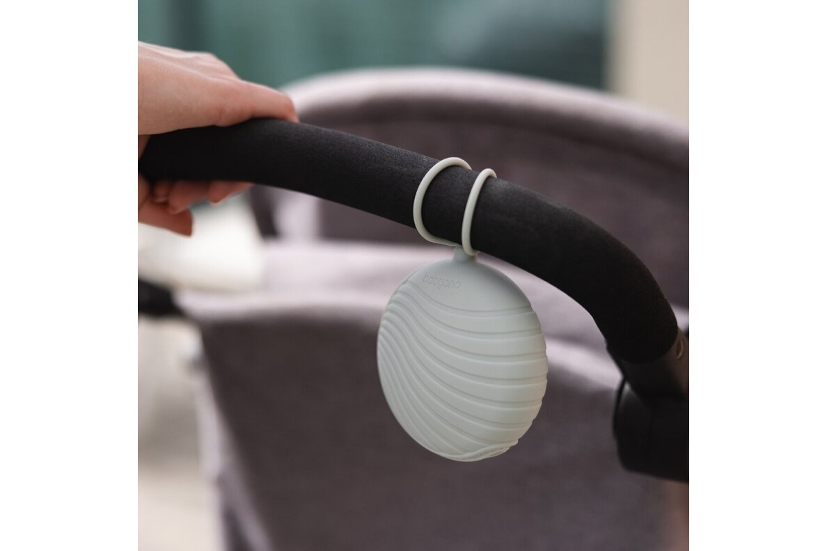 Silicone Soother Case BabyOno 1569/03 4 Silicone Soother Case BabyOno 1569/03 4