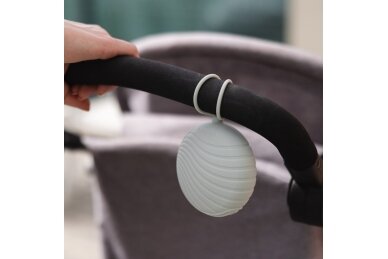 Silicone Soother Case BabyOno 1569/03 4