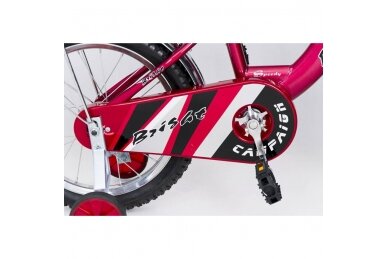 Bicycle ELGROM BMX-1200-Red 3