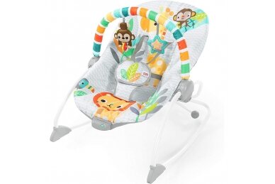Bright Starts, Safari Blast 2 in 1 Infant to Toddler Rocker & Bouncer Seat with Soothing Vibrations 3