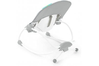 Bright Starts, Safari Blast 2 in 1 Infant to Toddler Rocker & Bouncer Seat with Soothing Vibrations 2
