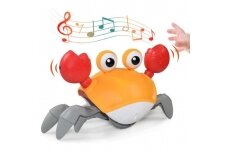 Interactive educational toy CUTE CRAB