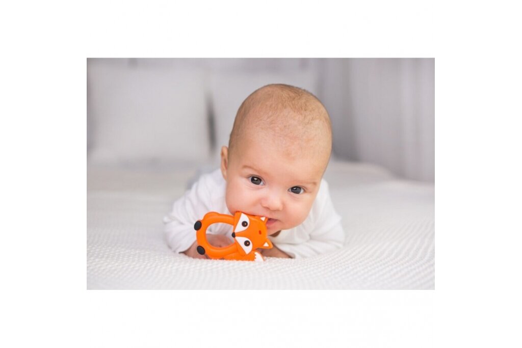Teether Silicone GiliGums FOX 2 Teether Silicone GiliGums FOX 2