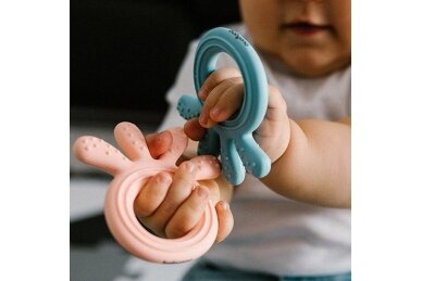 Teether BabyOno OCTOPUS, 826/03 2 Teether BabyOno OCTOPUS, 826/03 2