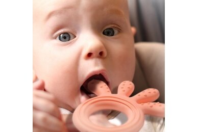 Teether BabyOno OCTOPUS, 826/03 3