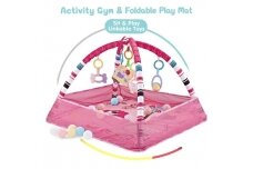 Multifunctional playmat with 18 balls Pink Birds