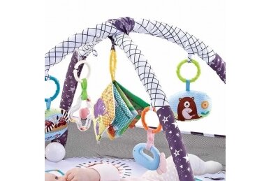 Multifunctional playmat with 18 balls Blue Animals 7 Multifunctional playmat with 18 balls Blue Animals 7