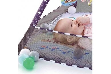 Multifunctional playmat with 18 balls Grey Forest 4
