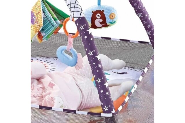 Multifunctional playmat with 18 balls Blue Animals 6 Multifunctional playmat with 18 balls Blue Animals 6