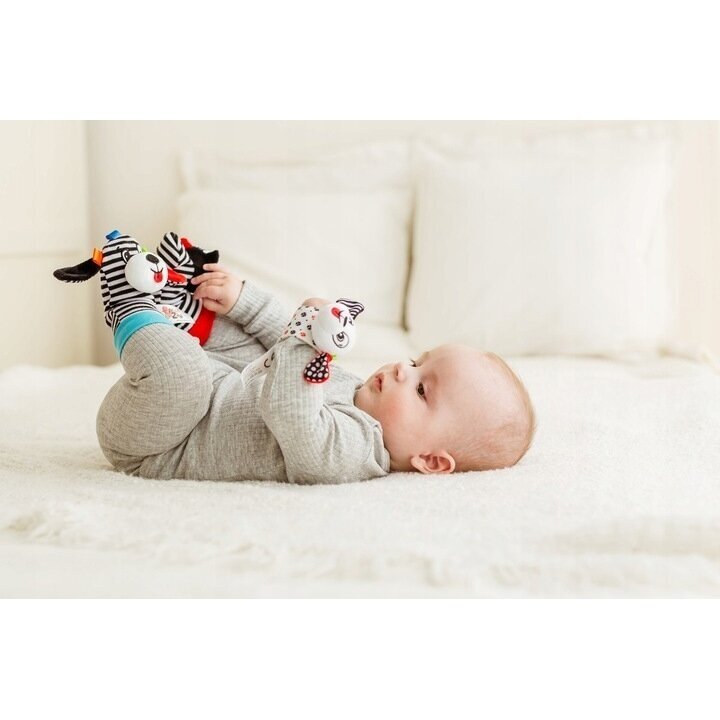 Minkšti žaislai Kojinės ir apirankė BaliBaZoo BABY SHOWER 2 Minkšti žaislai Kojinės ir apirankė BaliBaZoo BABY SHOWER 2