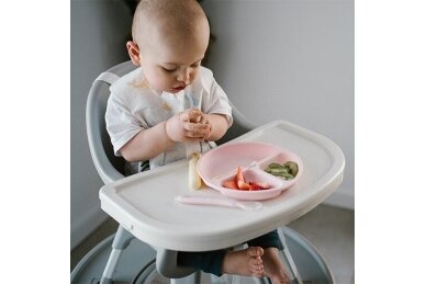 Silicone suction plate with lid BabyOno 1482/02 5 Silicone suction plate with lid BabyOno 1482/02 5