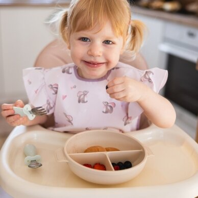 ⭐Silikoninė lėkštė su siurbtuku ir skyriais BabyOno 1482/04 4