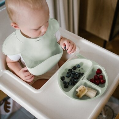 ⭐Silikoninė lėkštė su siurbtuku ir skyriais BabyOno 1482/04 5