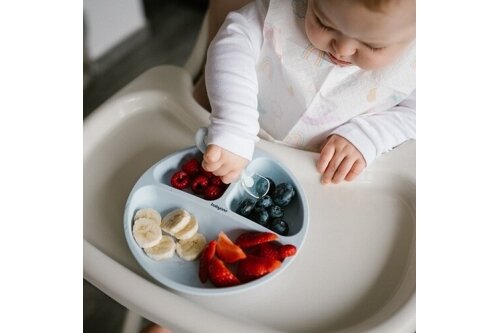 Silicone suction plate with lid BabyOno 1482/01 5 Silicone suction plate with lid BabyOno 1482/01 5