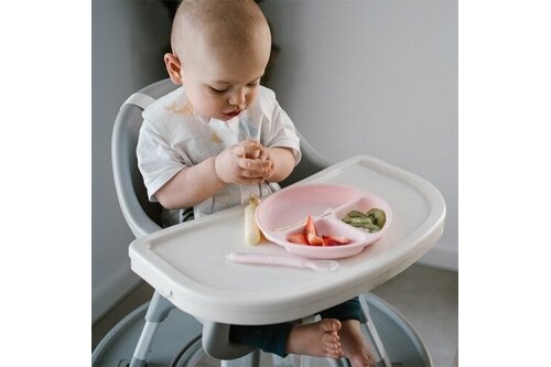 Silicone suction plate with lid BabyOno 1482/02 5