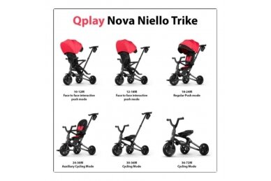 Tricycle QPlay  NOVA NIELLO Black 1