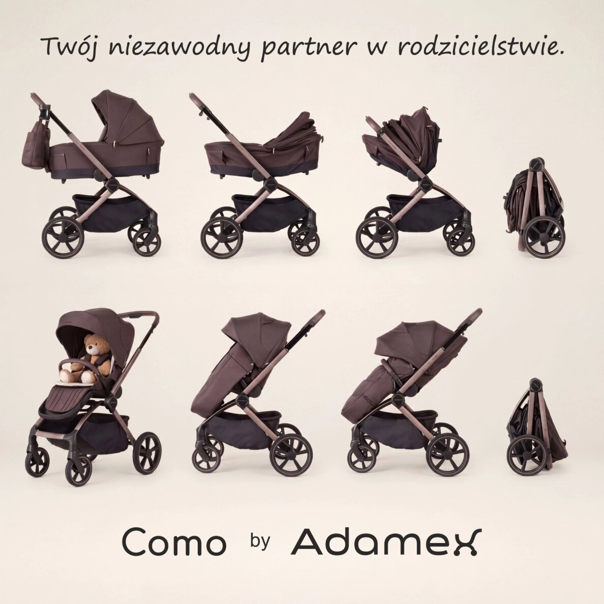 Vežimėlis  Adamex COMO CHOCOLATE BROWN 2in1 11