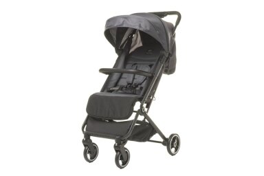 Pushchair 4baby TWIZZY XXIII Graphite