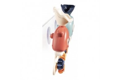 Creative Toy to Play in the Water Canpol 79/104 1
